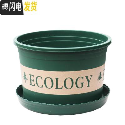 三维工匠塑料玫瑰盆栽花肉肉绿萝月季专用加伦树脂家用特大号超大加仑花盆 [5个盆] 矮胖1.7L(口径15.8cm花盆容器