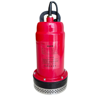 卫未来 抽水泵 QN2-10 台