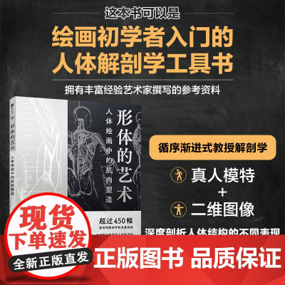 形体的艺术 人体绘画中的肌肉塑造 人体结构造型动态解剖肌肉绘制人体手绘 人体骨骼结构肌肉解剖