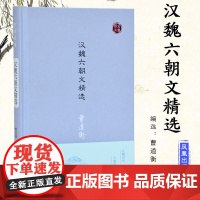汉魏六朝文精选 曹道衡编选 名家视角丛书 中国古代文学 选录汉魏六朝广为传颂的经典 凤凰出版社店 正版