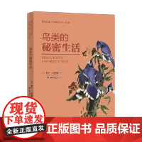 鸟类的秘密生活 罗杰.J.莱德勒 著 科普读物