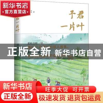 正版 予君一片叶 章泥著 天地出版社 9787545569087 书籍