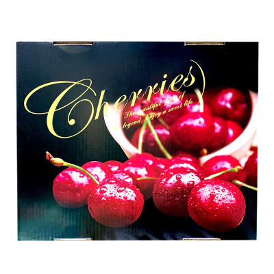 礼盒装[熊猫鸟]顺丰空运 智利进口车厘子 JJJ 净重5斤装 应季车厘子 新鲜水果 酸甜可口