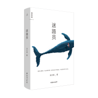 音像迷路员沈大成