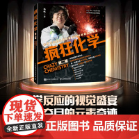 疯狂化学(*版) 初中高中化学 科普读物 化学实验 化学世界 彩色插图