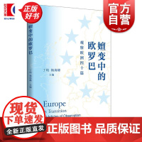 嬗变中的欧罗巴 观察欧洲四十篇 丁纯杨海峰主编上海人民出版社世界政治欧洲研究欧盟研究正版图书籍
