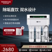 汉斯顿/Hunson家用厨下直饮RO反渗透净水器净水机1503 双膜双水直饮 滤芯更换提醒