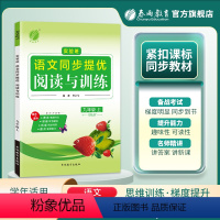 语文 九年级/初中三年级 [正版]2023秋 初中语文实验班同步提优阅读与训练九年级上册人教版 语文9年级上册RJ版同步