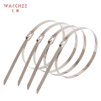 汇继 不锈钢扎带 7.9*1000mm/个