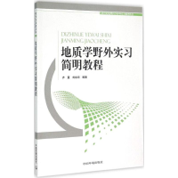 音像地质学野外实简教程齐童,刘永顺 编著