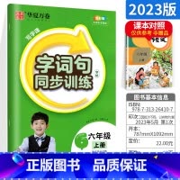 [特价抢]词句同步训练字帖六上 [正版]字帖写字课一二三四五六年级上册下册 下上语文英语同步练字帖一年级字帖练字小学生写