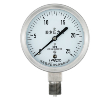 ZIVE 膜盒压力表ZIVE-1306466