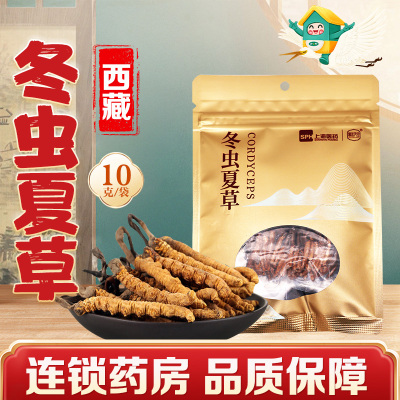 慧远天宝 冬虫夏草10克/袋西藏冬虫夏草