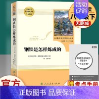 钢铁是怎样炼成的 人民教育出版社 [正版]八年级上册必读名著昆虫记和红星照耀中国寂静的春天星星离我们有多远飞向太空港原著