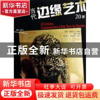 正版 当代边缘艺术20家
