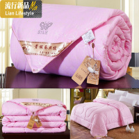 春秋空调被丝棉被芯夏凉被夏季夏被棉单人双人冬季冬天四季被子 三维工匠