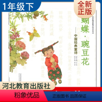 [正版]蝴蝶豌豆花 金波著 好书伴我成长一年级下册选读书 1年级下好书 中国经典童书河北教育出版社 小学阅读书目 南通