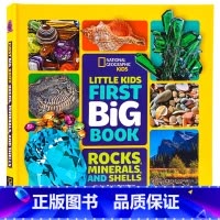 [正版]美国国家地理儿童百科岩石/矿物/贝壳英文原版 Little Kids First Big Book of Ro