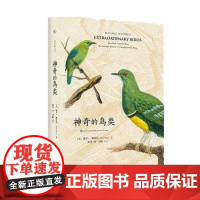 正版 神奇的鸟类(精) [美]保罗? 斯维特(Paul Sweet)著 梁丹 译科普读物生物世界 动物自然的历史科普读物