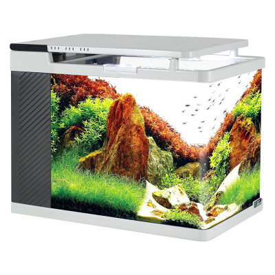 鱼缸水族箱小型生态创意金鱼缸高清玻璃桌面迷你客厅家用懒人鱼缸