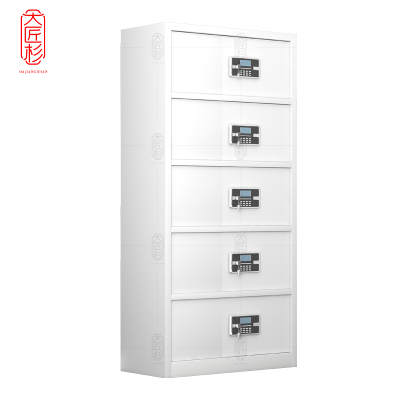 大匠杉 保密柜文件柜通五节柜 DBMG075