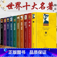 [全10册]世界十大名著 [正版]世界十大文学名著精装10册巴黎圣母院飘简爱红与黑呼啸山庄悲惨世界钢铁是怎样炼成的傲慢与