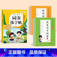 [三年级下册]同步字帖+优美句子+好词好句好段 [正版]2025新版三年级下册同步练字帖小学生字帖语文人教版每日一练笔画