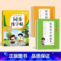 [三年级下册]同步字帖+优美句子+好词好句好段 [正版]2025新版三年级下册同步练字帖小学生字帖语文人教版每日一练笔画