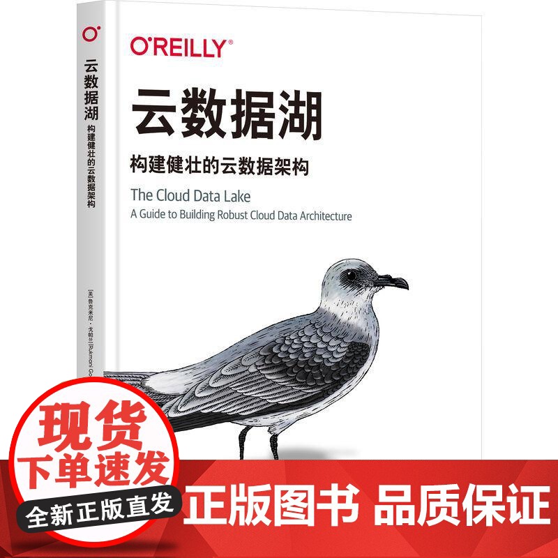 机工 云数据湖:构建健壮的云数据架构 [美]鲁克米尼·戈帕兰(Rukmani Gopalan)