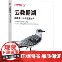 机工 云数据湖:构建健壮的云数据架构 [美]鲁克米尼·戈帕兰(Rukmani Gopalan)