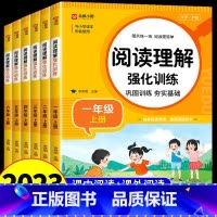 [全套5册]阅读理解+写作+看拼音+字帖+计算题 六年级下 [正版]小学语文阅读理解专项训练书人教版 一年级二年级三年级