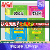 ★★★语文[人教版]+数学[苏教版]+英语[译林版] 六年级上 [正版]2024秋 实验班提优训练 一年级上下册二三四五