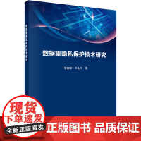 数据集隐私保护技术研究 张晓琳,王永平 著 科学出版社 数据库 数据库