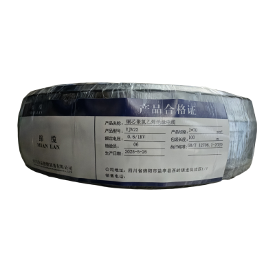 绵缆 铜芯聚氯乙烯绝缘电缆 YJV22-0.6/1kV-2*70 米