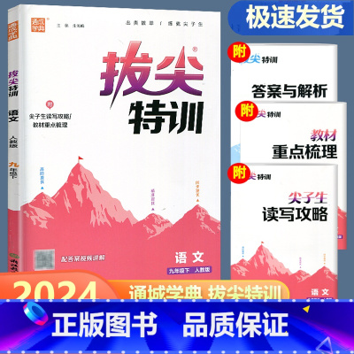 语文 人教版 九年级下 [正版]2024新版通城学典拔尖特训九年级下册语文人教版 初中生初三9年级下册同步练习册课时特训