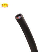傻实在(SHASHIZAI) 电线 阻燃屏蔽双绞线 黑色 ZD-RVSP 2*2.5 盘