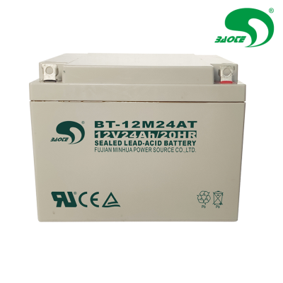 赛特 蓄电池 BT-12M24AT(w)(12V24AH) 块