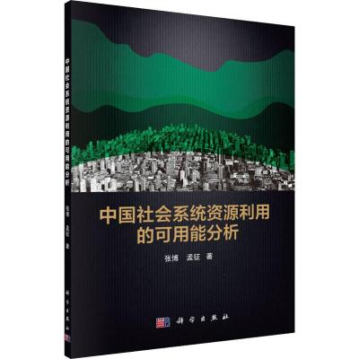 中国社会系统资源利用的可用能分析