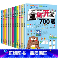 (全12本)全脑开发 [正版]全脑开发700题1000题逻辑思维训练书2-3-4-5-6岁幼儿宝宝左右脑智力大开发书籍一