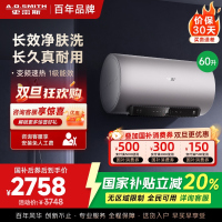 AO史密斯电热水器60升 国家补贴 80吨长效净水洗 免清洗 3kW变频速热 金圭特护 短款 E60ED6