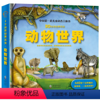 动物世界 [正版]动物世界 儿童3d立体书 3D自然世界系列儿童科普立体书3-8-10-12岁揭秘系列翻翻书绘本故事书