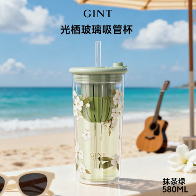 嘉特GiNT耐热玻璃吸管杯隔热设计时尚简约大容量580ml高颜值吸管杯 GTB-5504-058