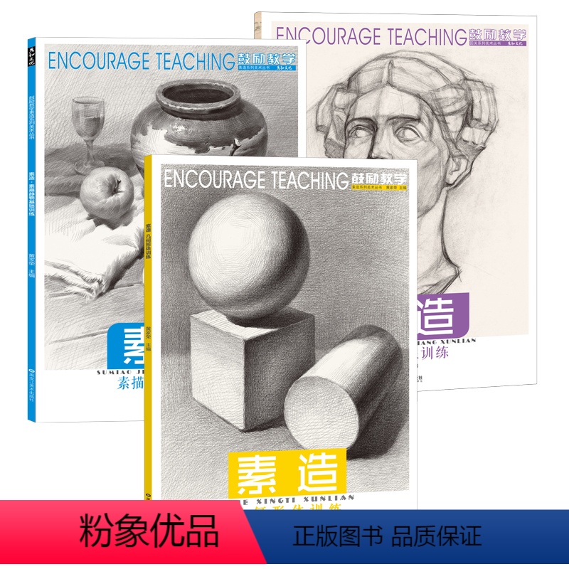 3册套装 [正版]素造素描入门教程几何体静物石膏挂像临摹范本明暗结构体块头像书人物人像切面照片素材画册美术生艺考联考画画