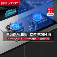 帅康(sacon)KB01E燃气灶嵌入式双眼灶700*400大开孔5.0kW大火力钢化玻璃家用煤气炉双灶台式煤气灶天然气