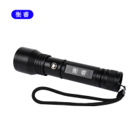 衡睿 应急照明灯手电 HR8106 个