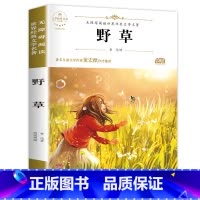 野草 [正版]配套考试重点故乡 鲁迅原着野草 彷徨全套4册六年级必读课外书鲁迅的书6年级课外阅读书籍老师散文作品集书籍经