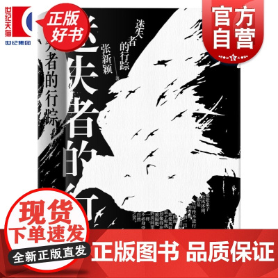 迷失者的行踪 张新颖著作上海文艺出版社中国现当代文学正版图书籍