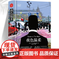 夜色温柔 精装版全译本世界文学名著青少年课外读物外国文学名家精选书系6-15岁中小学生课外阅读书
