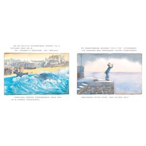 海豚男孩(精)