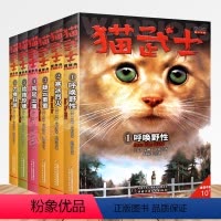 猫武士首部曲(全套) [正版]全套任选猫武士首部曲1 呼唤野性 猫武士全集狗武士同类书籍 少儿童成长励志/传奇的猫族奇幻